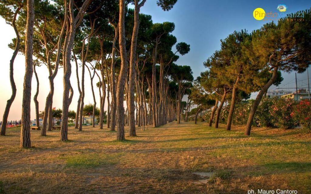 Myconos C2 - Pineto Vacanza Esterno foto